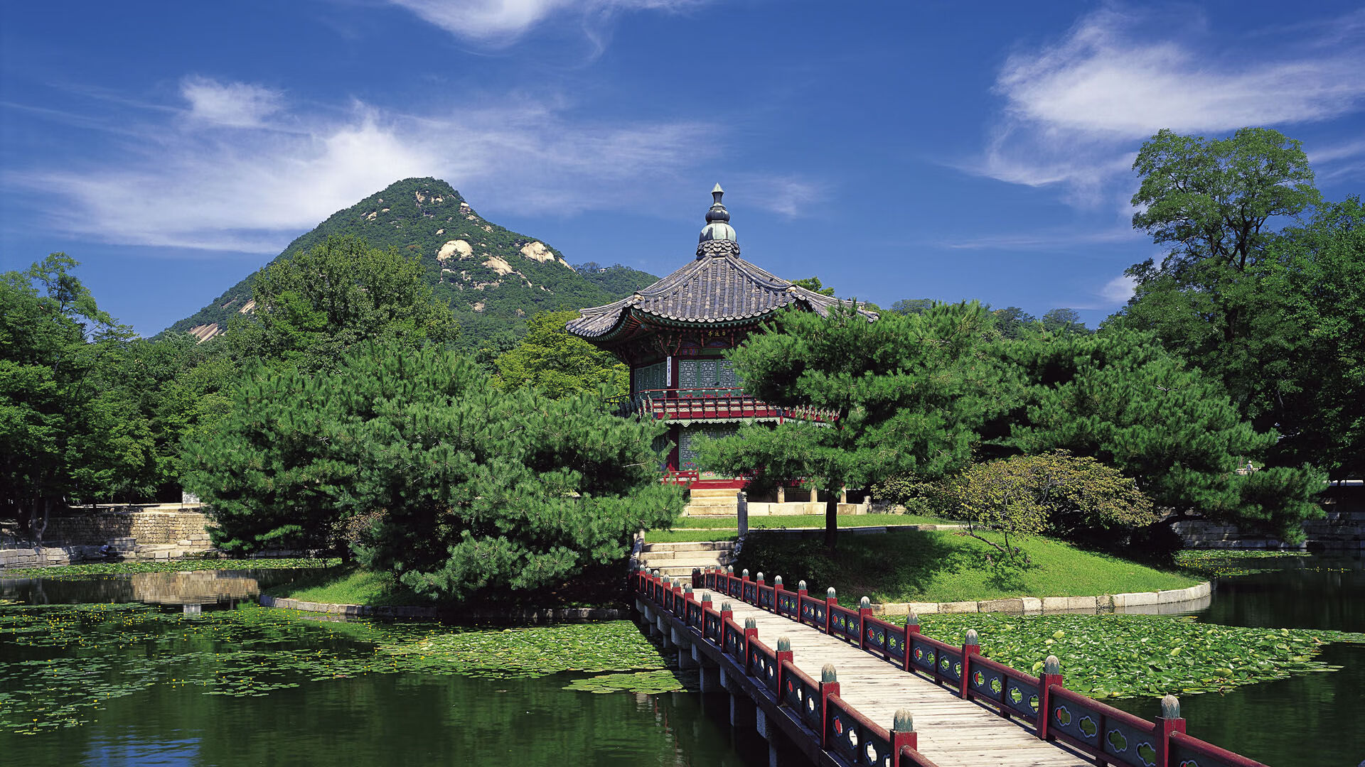 世界举重青年联赛赛事规则细节更新公布,世界举重锦标赛2020